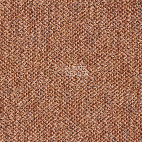 Ковролин Ideal Parla 755 фото 1 | FLOORDEALER