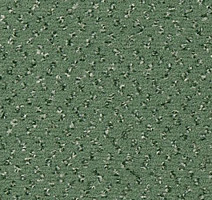 Ковролин Vorwerk Passion 1047 Vorwerk 4g60 фото 1 | FLOORDEALER