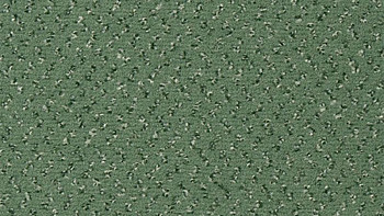 Vorwerk Passion 1047 Vorwerk 4g60 фото 1 | FLOORDEALER