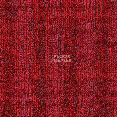 Ковролин Balsan Alize 570 фото 1 | FLOORDEALER