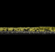 Balsan Take a Walk 250 Take a Walk фото 5 | FLOORDEALER