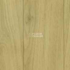 Линолеум Grabo Silver Knight Acoustic 7 2561_371_651 фото 1 | FLOORDEALER