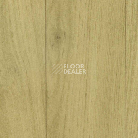 Линолеум Grabo Silver Knight Acoustic 7 2561_371_651 фото 1 | FLOORDEALER
