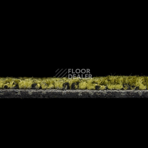Balsan Take a Walk 250 Take a Walk фото 5 | FLOORDEALER