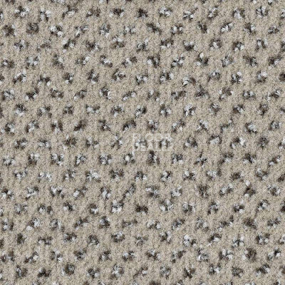 Ковролин Balsan Signature 905 фото 1 | FLOORDEALER