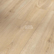 Ламинат Parador Basic Plus 600 XS 1744353 Дуб Nova Светло-известковый фото 1 | FLOORDEALER