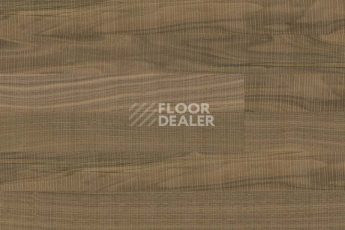Wood Xl MILAN NUT фото 3 | FLOORDEALER