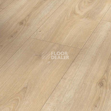Ламинат Parador Basic Plus 600 XS 1744353 Дуб Nova Светло-известковый фото 1 | FLOORDEALER