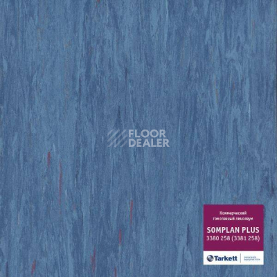 Линолеум Tarkett Somplan Plus 3380 258 (3381 258) фото 1 | FLOORDEALER