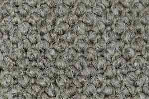 Ковролин Carpet Concept Eco Cut 54554 фото  | FLOORDEALER