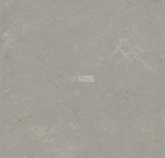 Marmoleum Modular Shade 3718 фото 1 | FLOORDEALER