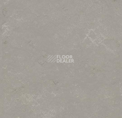 Кварцвиниловые полы Marmoleum Modular Shade 3718 фото 1 | FLOORDEALER