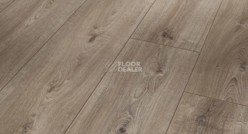 Ламинат Parador Trendtime 6 1567472 Дуб Valere Темно-отбеленный фото 1 | FLOORDEALER