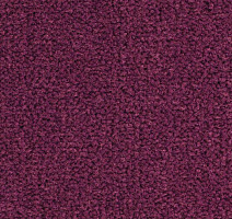 Ковролин Balsan Les Best S 599 фото 1 | FLOORDEALER