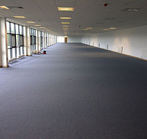 Ruscarpettiles RCT Cuba