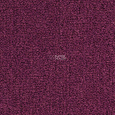 Balsan Les Best S 599 фото 1 | FLOORDEALER