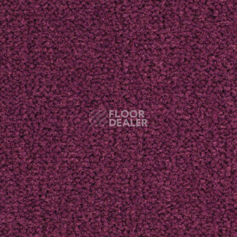 Ковролин Balsan Les Best S 599 фото 1 | FLOORDEALER
