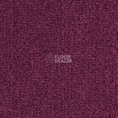 Ковролин Balsan Les Best S 599 фото 1 | FLOORDEALER