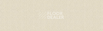 Линолеум Tarkett Status TEPPER2 фото 1 | FLOORDEALER