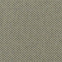 Ковролин Carpet Concept Goi 1 2801  | FLOORDEALER