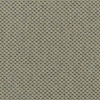 Ковролин Carpet Concept Goi 1 2801 фото 1 | FLOORDEALER