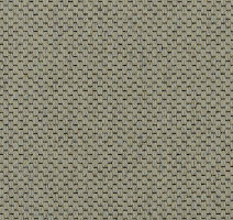 Ковролин Carpet Concept Goi 1 2801 фото 1 | FLOORDEALER