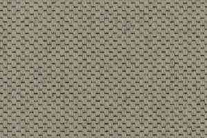 Ковролин Carpet Concept Goi 1 2801 фото  | FLOORDEALER