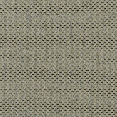 Ковролин Carpet Concept Goi 1 2801 фото 1 | FLOORDEALER