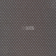 Ковролин Sintelon Podium 11513 фото 1 | FLOORDEALER