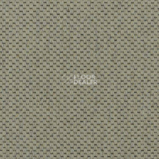 Ковролин Carpet Concept Goi 1 2801 фото 1 | FLOORDEALER