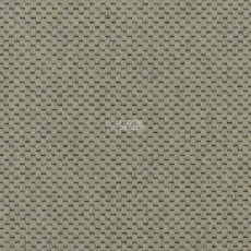 Carpet Concept Goi 1 2801 фото 1 | FLOORDEALER