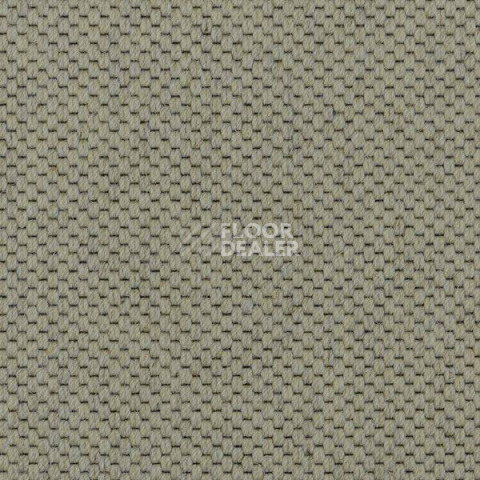 Ковролин Carpet Concept Goi 1 2801 фото 1 | FLOORDEALER