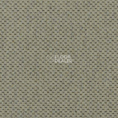 Ковролин Carpet Concept Goi 1 2801 фото 1 | FLOORDEALER
