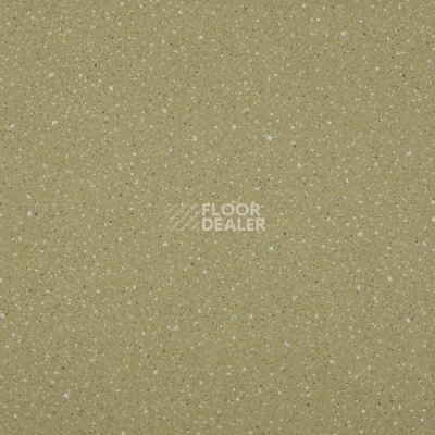 Линолеум Lg Compact CT90514 фото 1 | FLOORDEALER