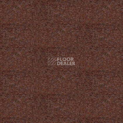 Ковролин Tapibel Spirit 8894 фото 1 | FLOORDEALER