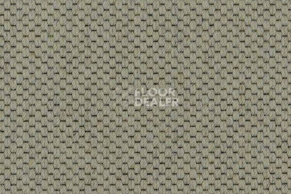 Ковролин Carpet Concept Goi 1 2801 фото 1 | FLOORDEALER