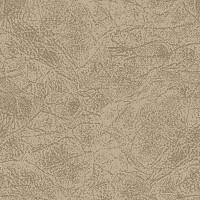 Ковролин Big Carus Sunrise 004-24330 фото 1 | FLOORDEALER