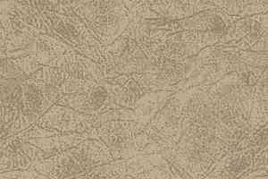 Ковролин Big Carus Sunrise 004-24330 фото  | FLOORDEALER