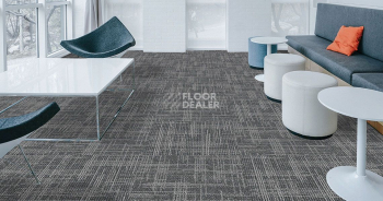 Casini Casini 577 фото 2 | FLOORDEALER