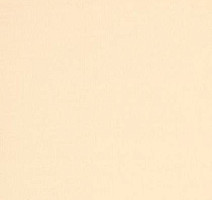 Ковролин Tapibel Casa 24812 фото 1 | FLOORDEALER