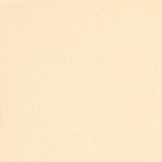 Ковролин Tapibel Casa 24812 фото 1 | FLOORDEALER