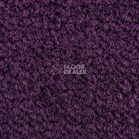Balsan Les Best 899 фото 2 | FLOORDEALER
