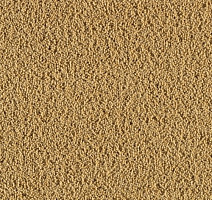 Ковролин Creatuft Ceres 3090 Gold фото 1 | FLOORDEALER