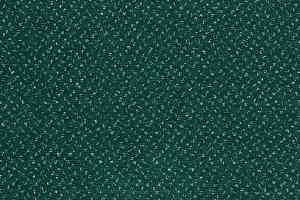 Ковролин Balta ITC Fortesse New 24 фото  | FLOORDEALER