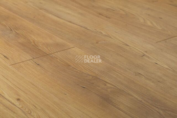 Kronopol Aurum Vision d3344 Кедр Ливанский фото 3 | FLOORDEALER