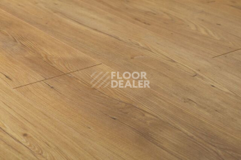 Kronopol Aurum Vision d3344 Кедр Ливанский фото 3 | FLOORDEALER