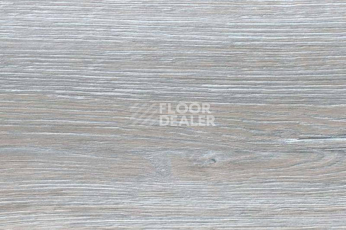 Пробковое покрытие Wood Xl Oak  Duna Grey фото 1 | FLOORDEALER