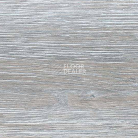 Пробковое покрытие Wood Xl Oak  Duna Grey фото 1 | FLOORDEALER