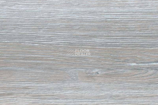 Пробковое покрытие Wood Xl Oak  Duna Grey фото 1 | FLOORDEALER
