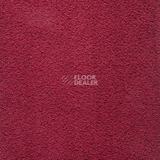 Ковролин Balta Wild Luxury Winnie 16 фото 1 | FLOORDEALER